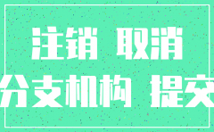 注销分公司去哪个工商怎么查询