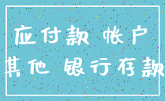 公司注销时其他应收款会计凭证