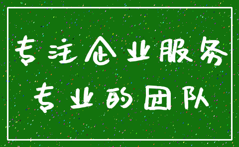 专注企业服务_专业的团队