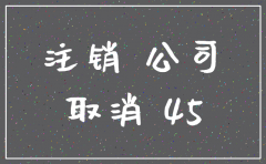 独立人公司注销流程