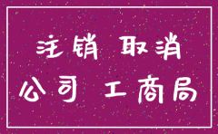 重庆公司注销在哪个网站公示