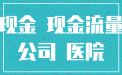 注销公司现金流项目