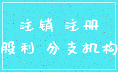 子公司与分公司注销