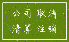 网上怎么注销分公司