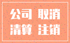 公司没开通税务的简易注销程序