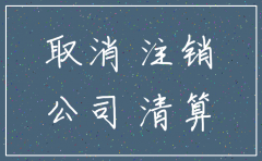 公司注销登报六个证