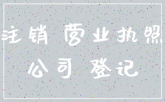 公司不想开了不注销登记