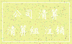 注销公司谁查账