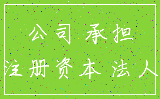 公司 承担_注册资本 法人