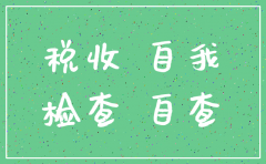 公司注销国税自查报告怎么写6