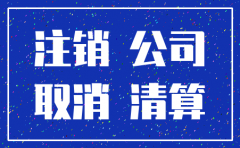 公司税务注销补税 公司没钱