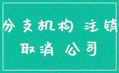 清远分公司注销需要账本