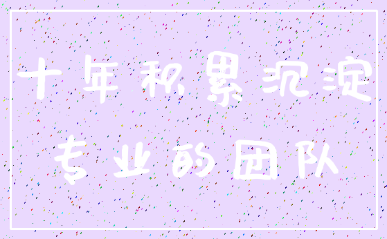十年积累沉淀_专业的团队