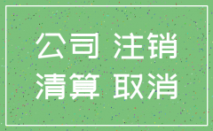 工商局公司注销登记审批表