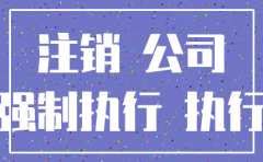 公司已经注销如何申请强制执行