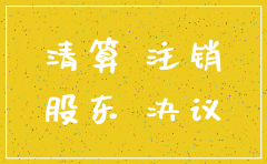 税务注销公司股东会决议