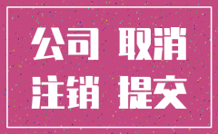 公司注销在什么报纸登记