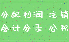 公司有利润怎么注销