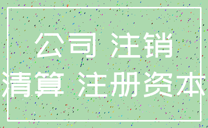 公司 注销_清算 注册资本