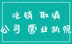 没有正式运营的公司能注销吗