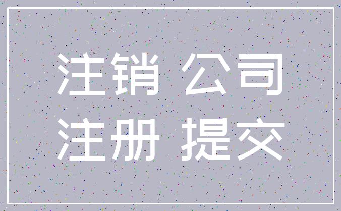 注销 公司_注册 提交