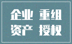 公司注销改制方案