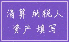 有限公司注销清算报表