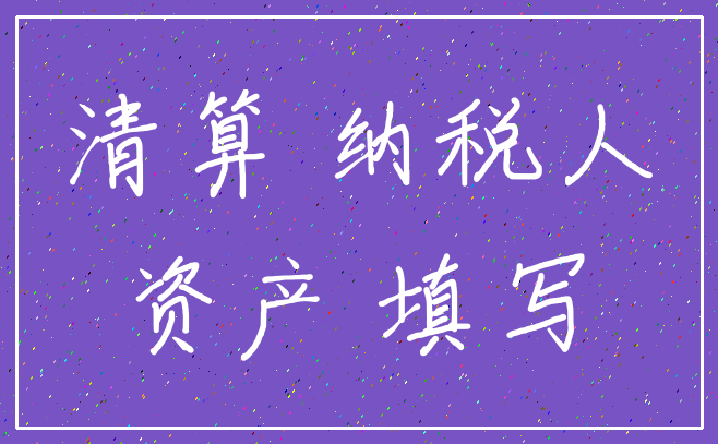 清算 纳税人_资产 填写