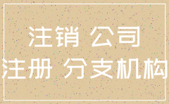 分公司注销一定要负责人吗