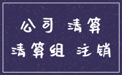 注销公司推进方案