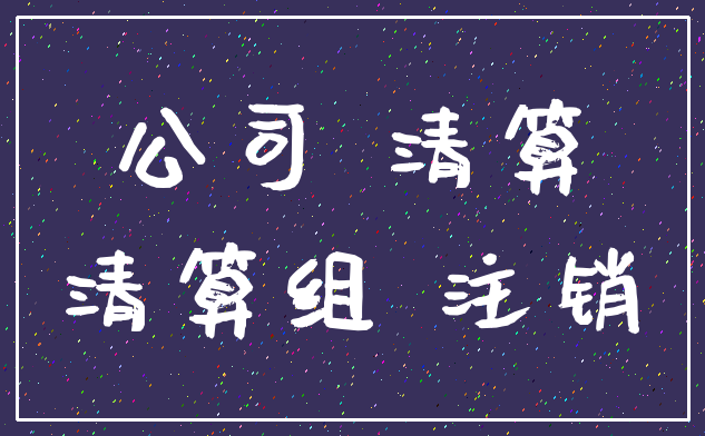 公司 清算_清算组 注销
