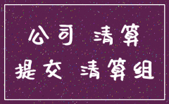 注销公司需提供什么资料