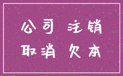 公司注销法人欠公司钱