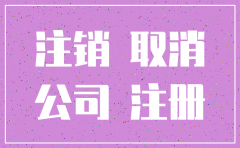 三证合一小公司注销流程及费用