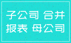 注销子公司现金流量表怎么处理