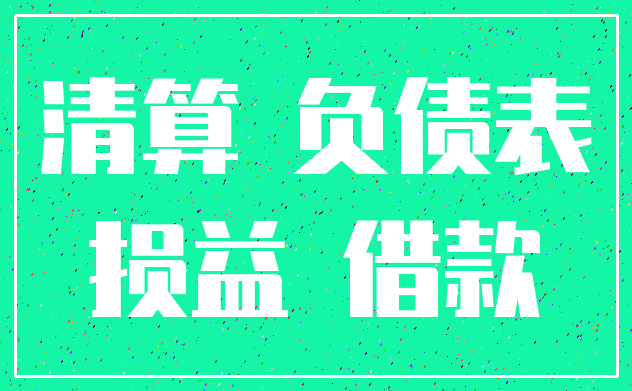 清算 负债表_损益 借款