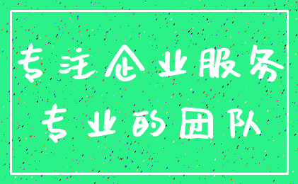 专注企业服务_专业的团队