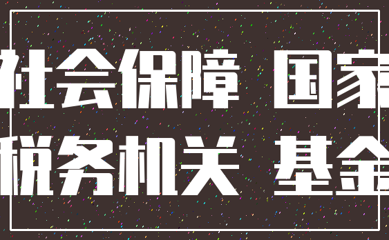 社会保障 国家_税务机关 基金