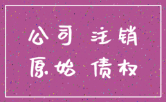 公司注销 原告主体