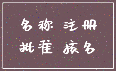 网上已核名的公司怎么注销