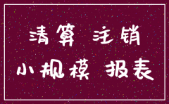 小规模公司注销清算报表
