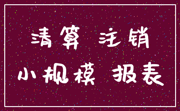 清算 注销_小规模 报表