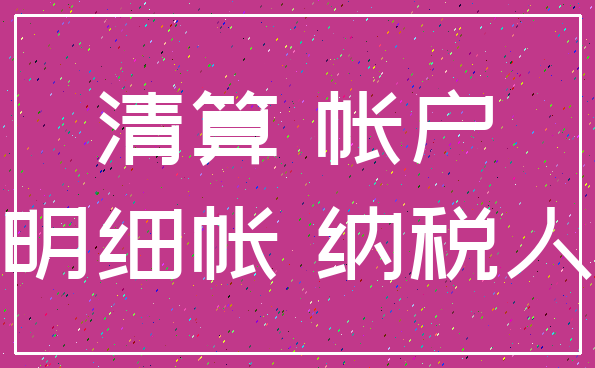 清算 帐户_明细帐 纳税人