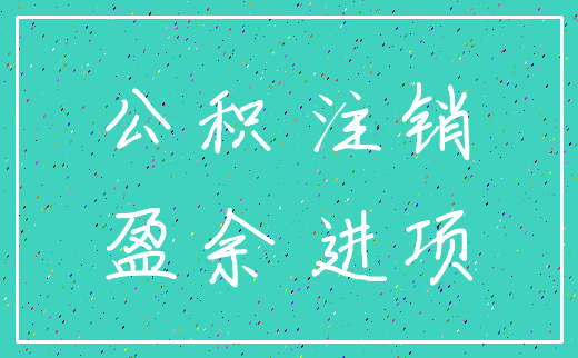 公积 注销_盈余 进项