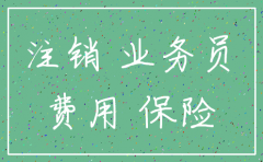 代理保险公司注销