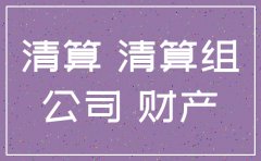 中介公司注销税务清算报告模板