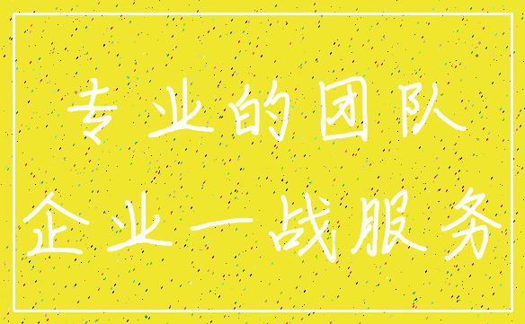 专业的团队_企业一战服务