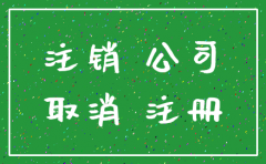 直接注销公司
