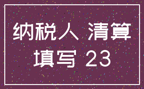 纳税人 清算_填写 23