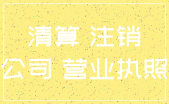 向税务局申请注销分公司的流程